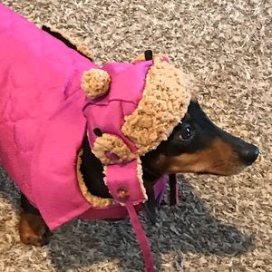 Meet your Posher, Stef